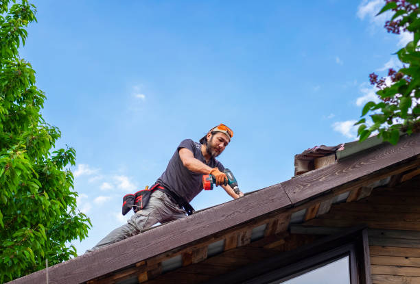 Best Roof Maintenance and Cleaning  in Cheraw, SC