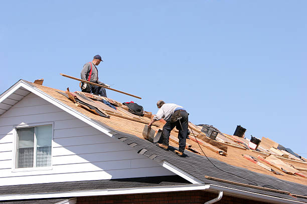 Best Gutter Installation and Repair  in Cheraw, SC
